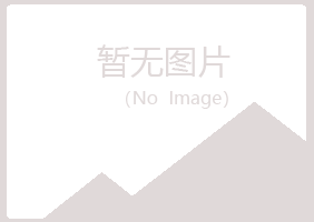 岱山县狼狈会计有限公司